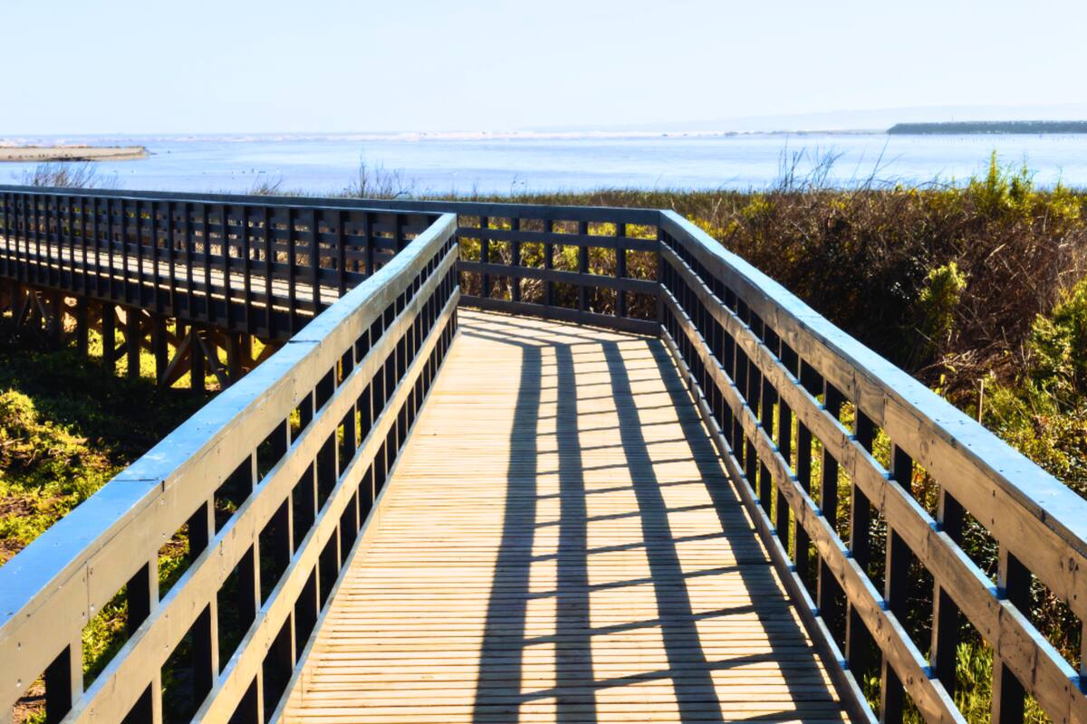 Un atractivo que llama a ser visitado en Santo Domingo. Créditos: Humedal Río Maipo.