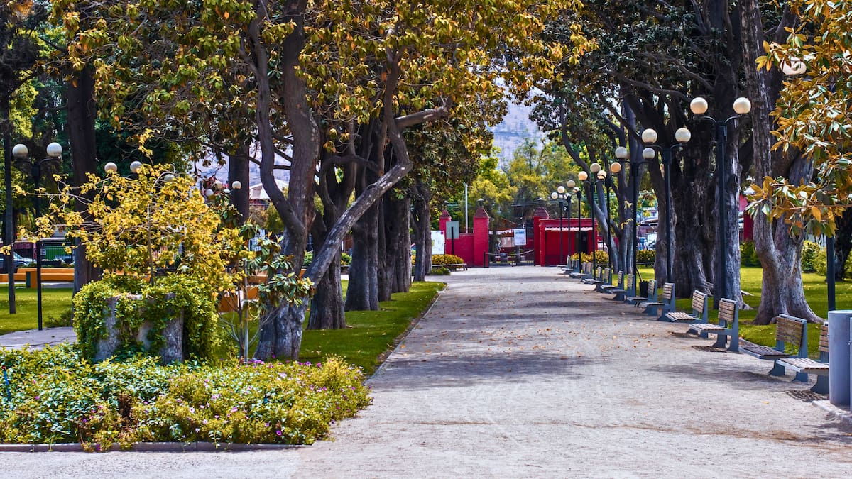 El parque escondido en Santiago lleno de palmeras chilenas y magnolios que es perfecto para visitar en otoño