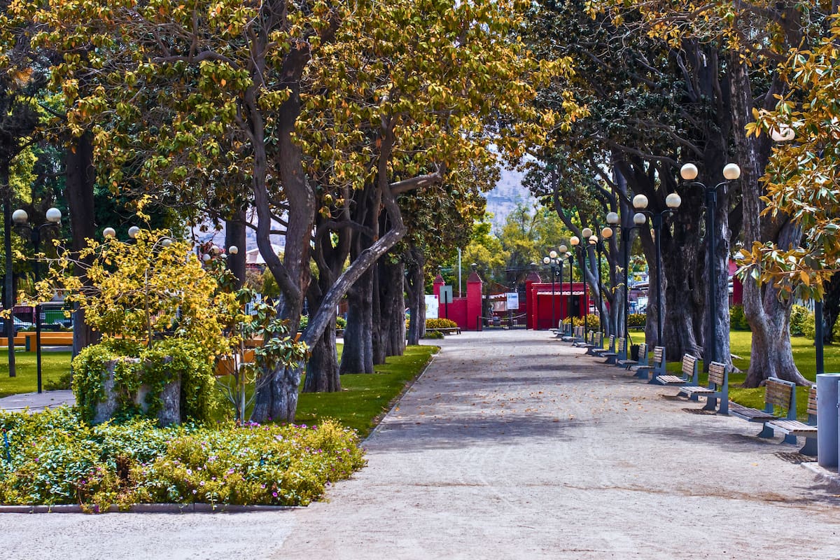 Un pulmón verde que llama a ser visitado durante el otoño en Santiago. Foto: Parquemet en X.