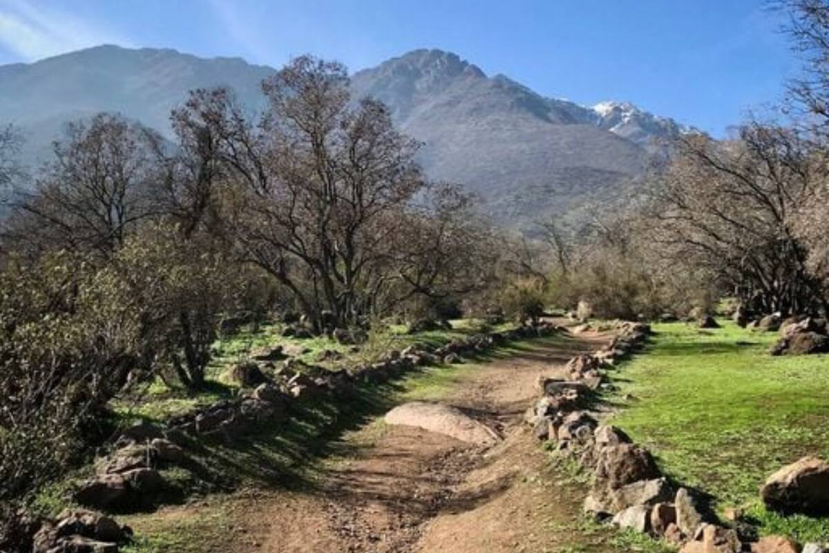 Este refugio natural de la capital está ubicado en la comuna de La Reina. Foto: Municipalidad de La Reina.