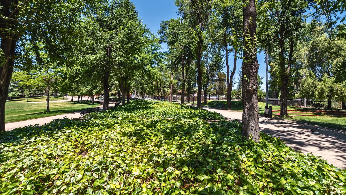 El oasis gratuito de 5,7 hectáreas en el sur de Santiago que mezcla relajo y deporte en un solo lugar