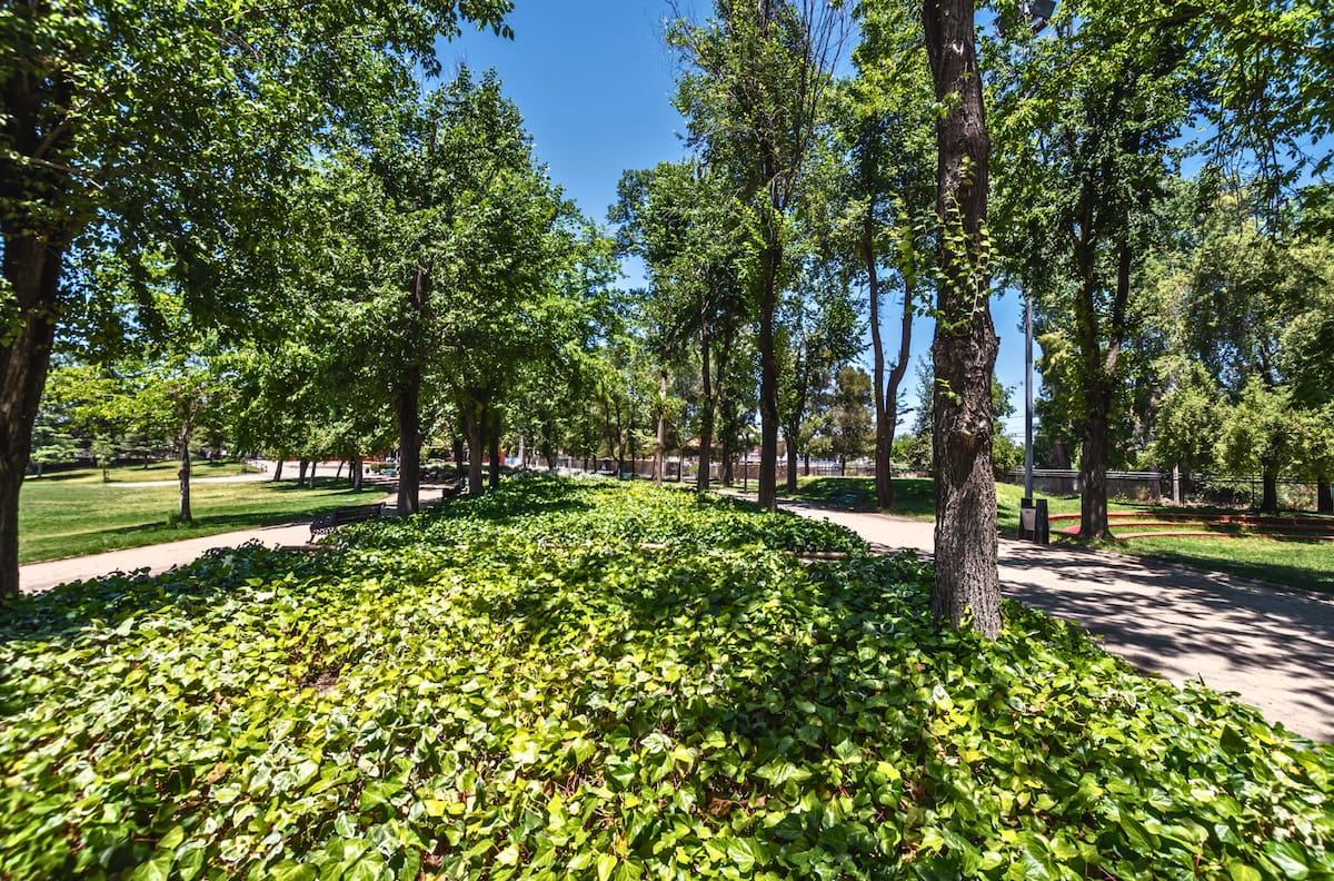 El oasis gratuito de 5,7 hectáreas en el sur de Santiago que mezcla relajo y deporte en un solo lugar