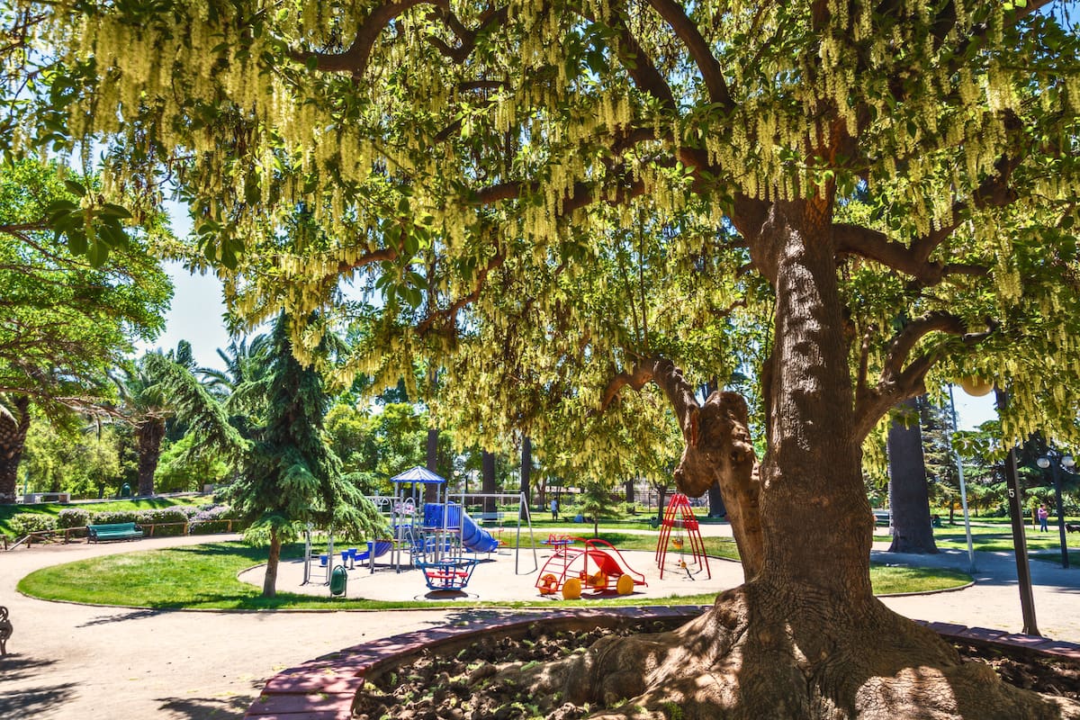 El horario extendido del panorama permite su ingreso durante casi toda la semana. Foto: Parquemet en X.