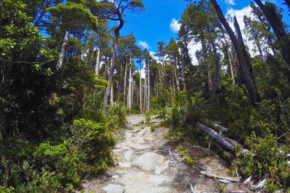 Es un pulmón verde que cuenta con un paisaje totalmente perfecto para visitar esta temporada. Foto: Pases Parques.