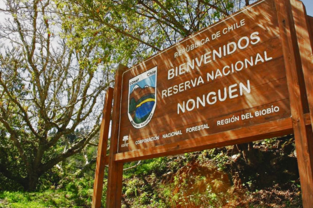 Uno de los panoramas ocultos más llamativos de la Región del Biobío. Foto: Soy Chile.