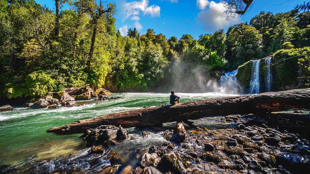 El refugio del sur con termas naturales y bosques mágicos que es furor este otoño: conoce cómo visitarlo gratis