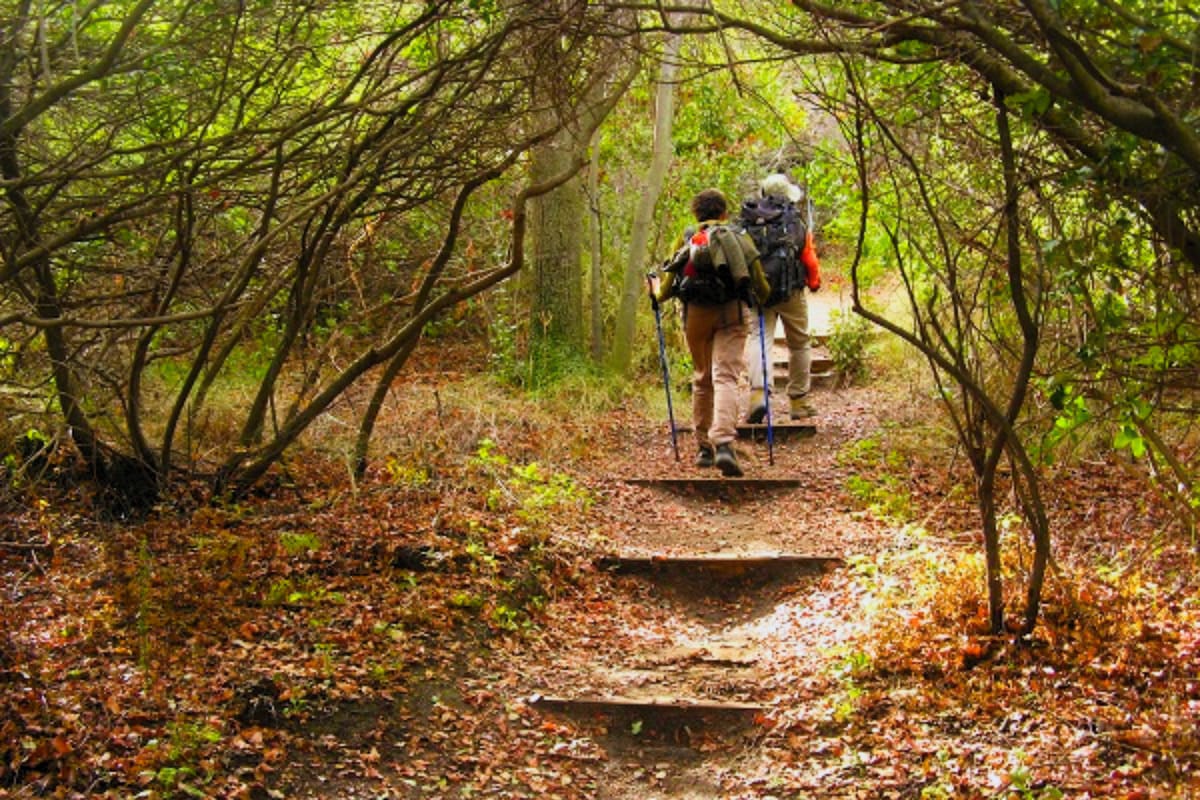 El atractivo permite hacer actividades como senderismo, trekking o picnics. Créditos: Recorrido.