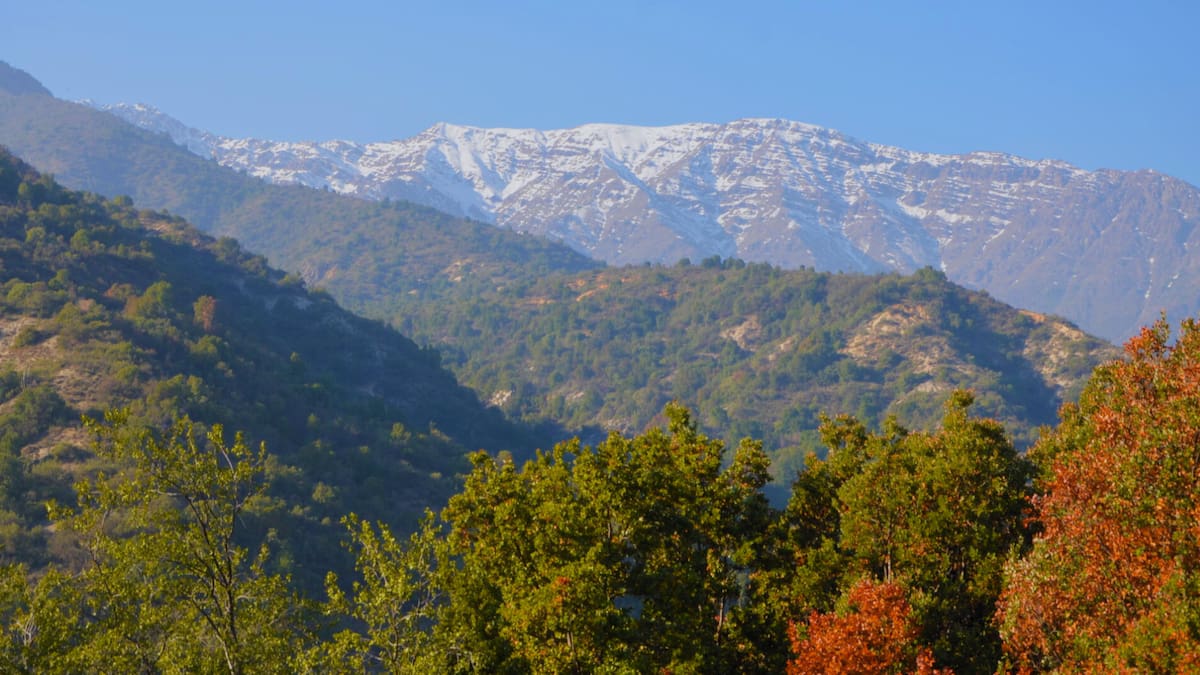 Parque Nacional Río Clarillo en otoño: el único parque nacional de la RM con bosque que cambia de color