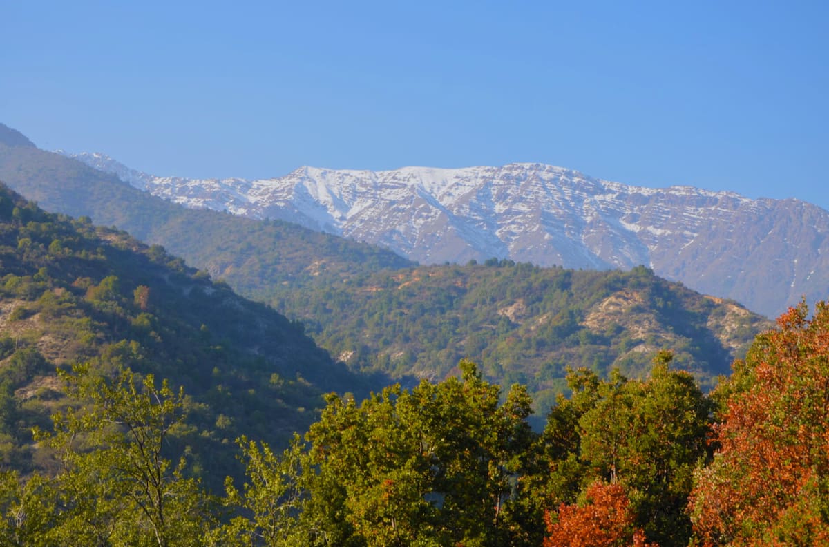 Parque Nacional Río Clarillo en otoño: el único parque nacional de la RM con bosque que cambia de color