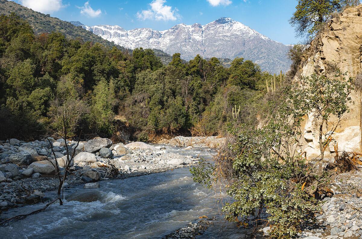 El parque nacional con un bosque natural, ideal para terminar el verano y a 45 minutos del centro de Santiago
