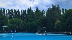 Parque El Edén: Un oasis de naturaleza y diversión a solo una hora de Santiago