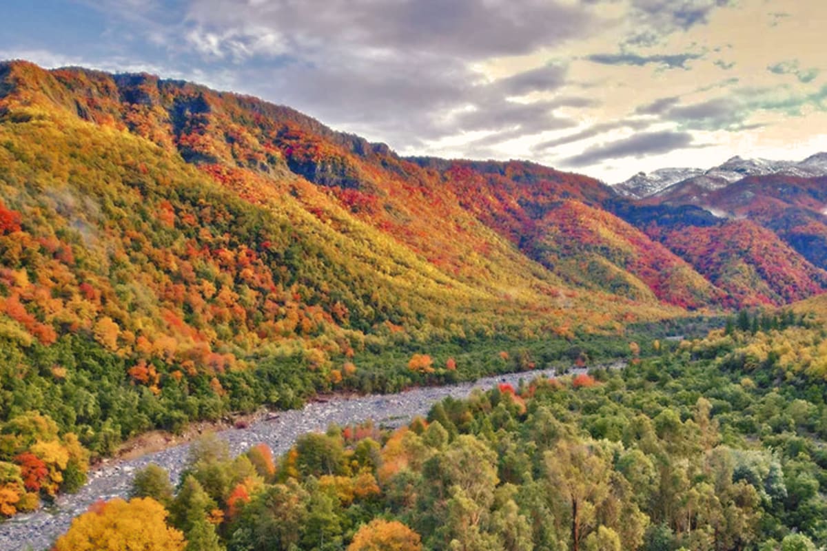 Un panorama con bosques nativos que se tiñen de rojo y dorado en plena cordillera. Foto: Trekking Chile.