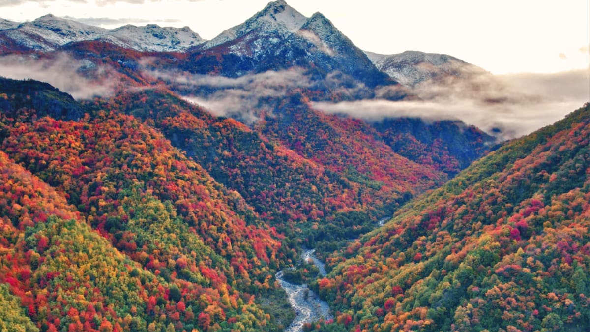 La joya escondida del Maule: el refugio natural que deslumbra con los colores del otoño entre bosques nativos