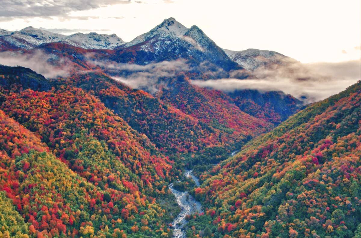 La joya escondida del Maule: el refugio natural que deslumbra con los colores del otoño entre bosques nativos