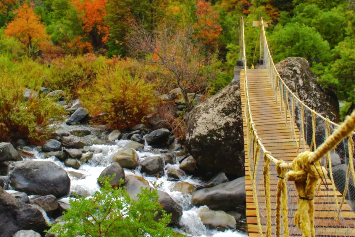 El lugar que invita a vivir la tranquilidad del Maule en un entorno rodeado de flora y fauna nativa. Foto: Parque Natural Tricahue en Instagram.