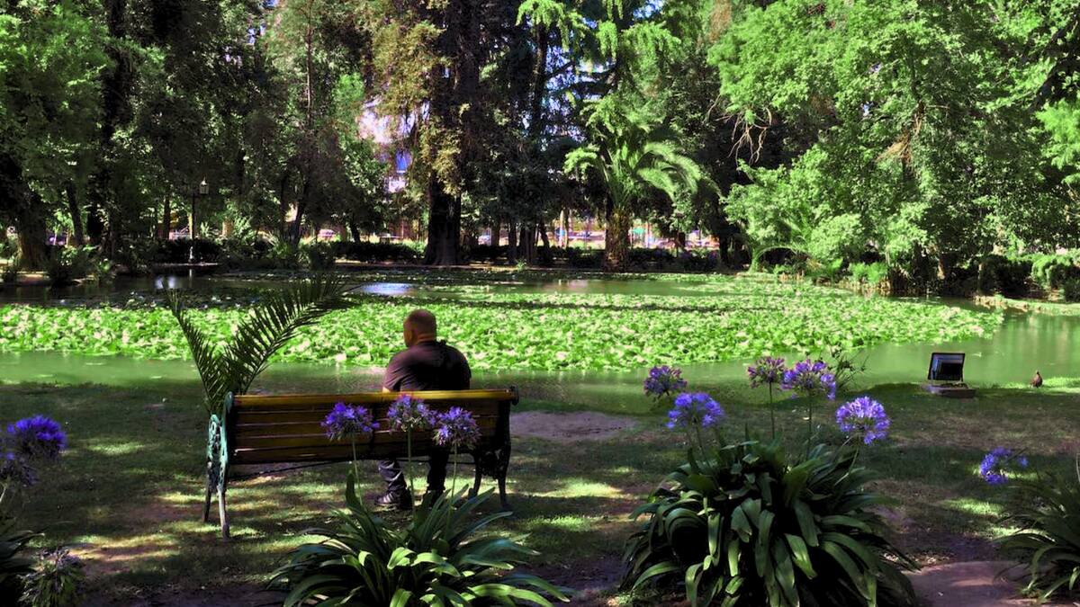 El pulmón verde escondido de la Región Metropolitana: tiene laguna y es con entrada gratuita