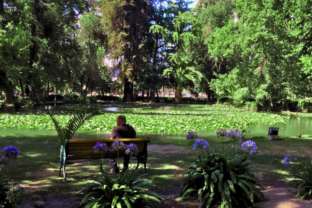 El sitio cuenta con amplias áreas verdes para disfrutar durante el día. Créditos: Manejo Áreas Verdes UC.