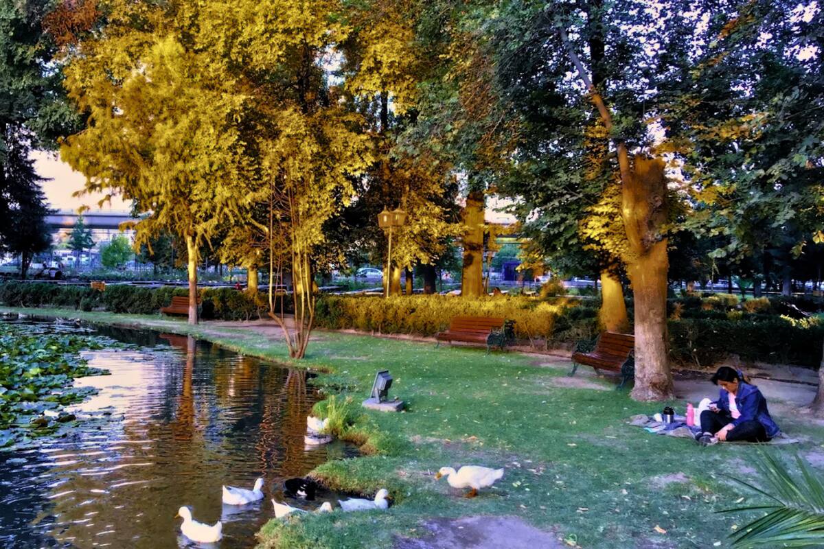 La laguna del parque se ha transformado en un refugio para distintas especies. Créditos: Google Maps.