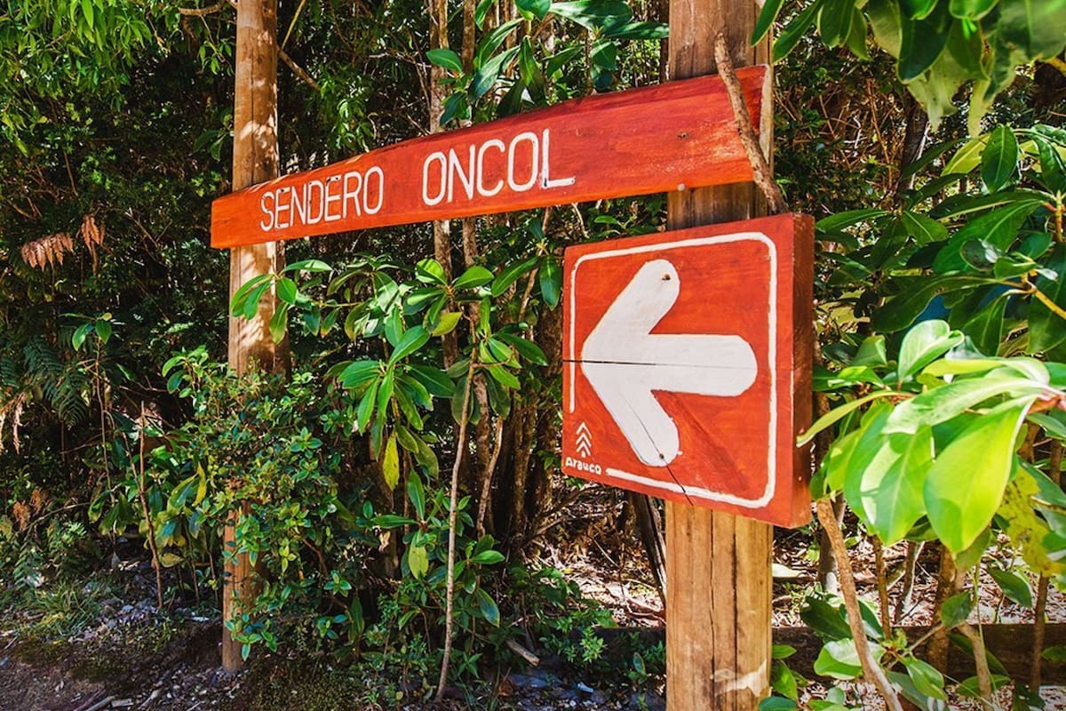 Un refugio con miradores únicos. Foto: @parqueoncol