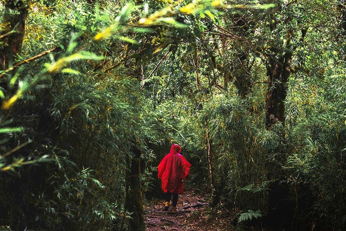 Un refugio con miradores únicos. Foto: @parqueoncol
