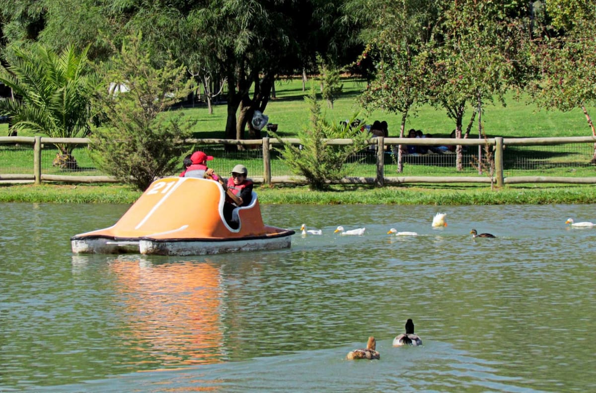 Tiene una laguna de 7.000 m² y ofrece paseos en bote: este parque es un pulmón verde de la RM y se puede visitar por solo $500