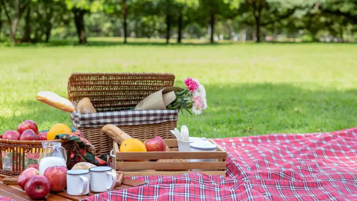 Este parque gratuito en Santiago es perfecto para disfrutar de un pícnic primaveral al aire libre