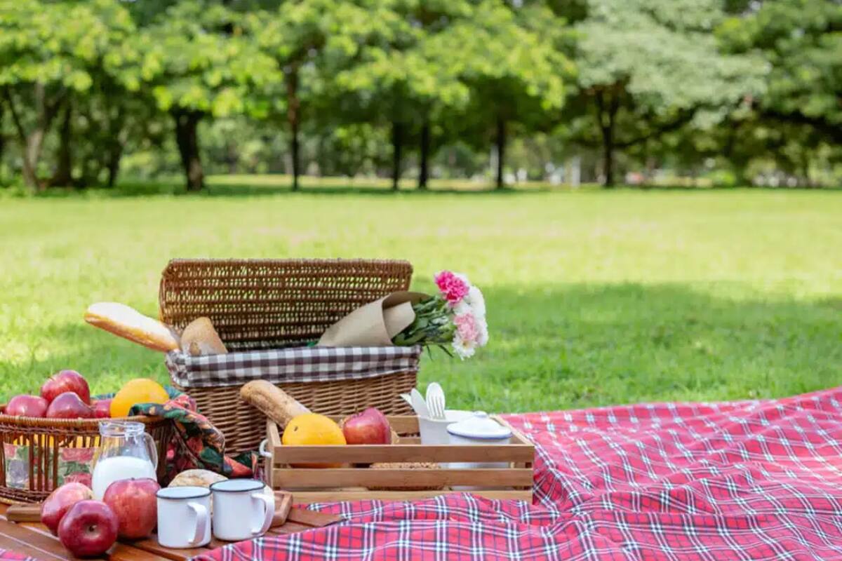 Este es ideal para descansar y compartir con amigos. Créditos: Club MAPFRE.