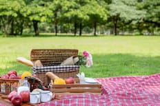 Este parque gratuito en Santiago es perfecto para disfrutar de un pícnic primaveral al aire libre