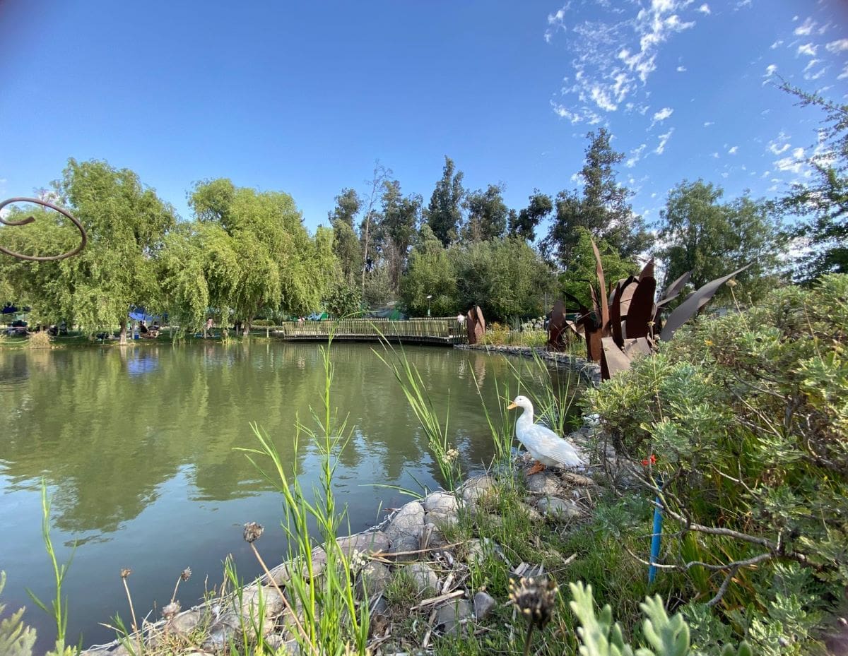 Hermosas áreas verdes ideales para caminatas y picnics en familia.
