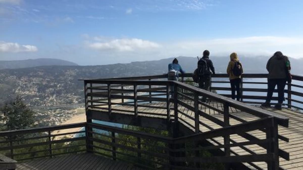 Tiene vista al mar y 100 hectáreas de extensión: el pulmón verde de Valparaíso que es un imperdible para recorrer en otoño