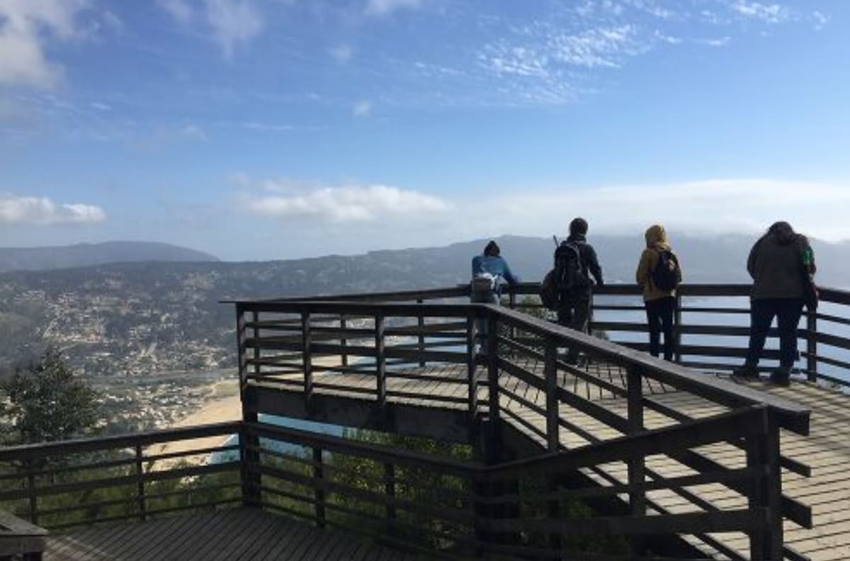 Tiene vista al mar y 100 hectáreas de extensión: el pulmón verde de Valparaíso que es un imperdible para recorrer en otoño