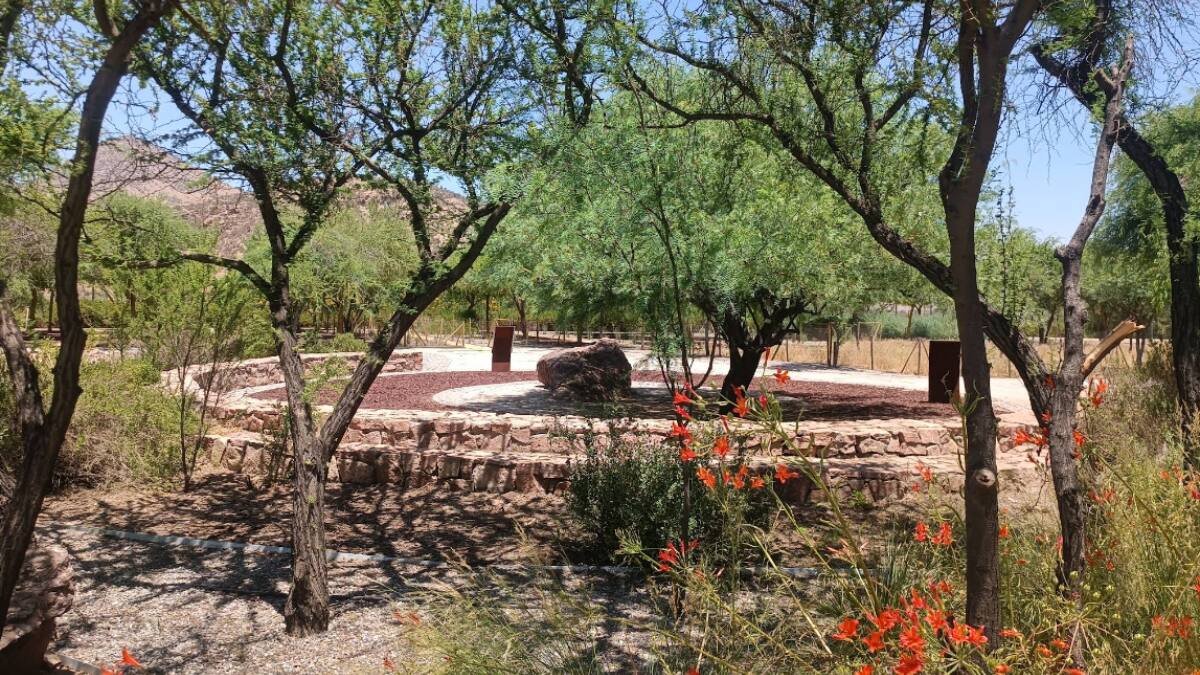Este jardín botánico oculto a 40 minutos de Santiago es ideal para quienes buscan privacidad y aman el deporte