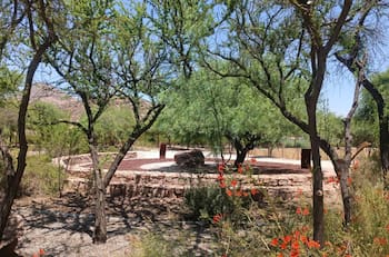 Este jardín botánico oculto a 40 minutos de Santiago es ideal para quienes buscan privacidad y aman el deporte