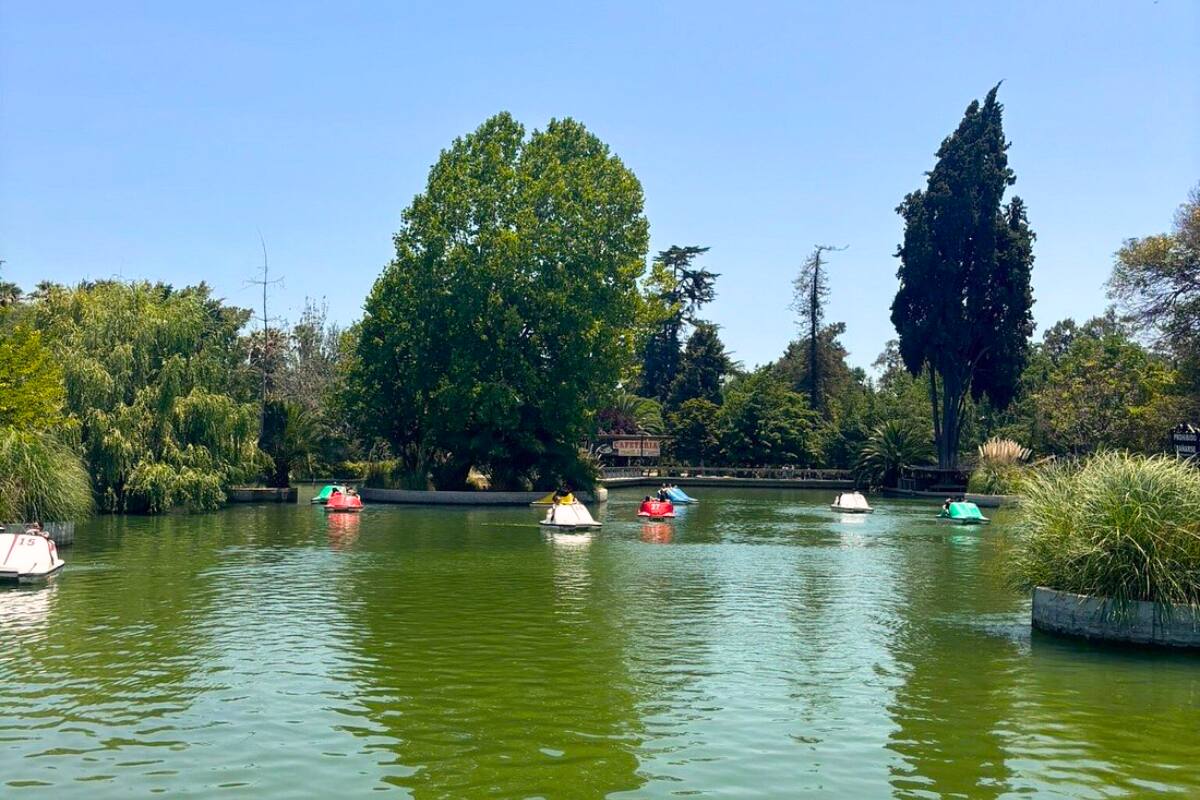 Además de los museos, en el lugar de puede disfrutar de la naturaleza e incluso de paseos en bote por la laguna.