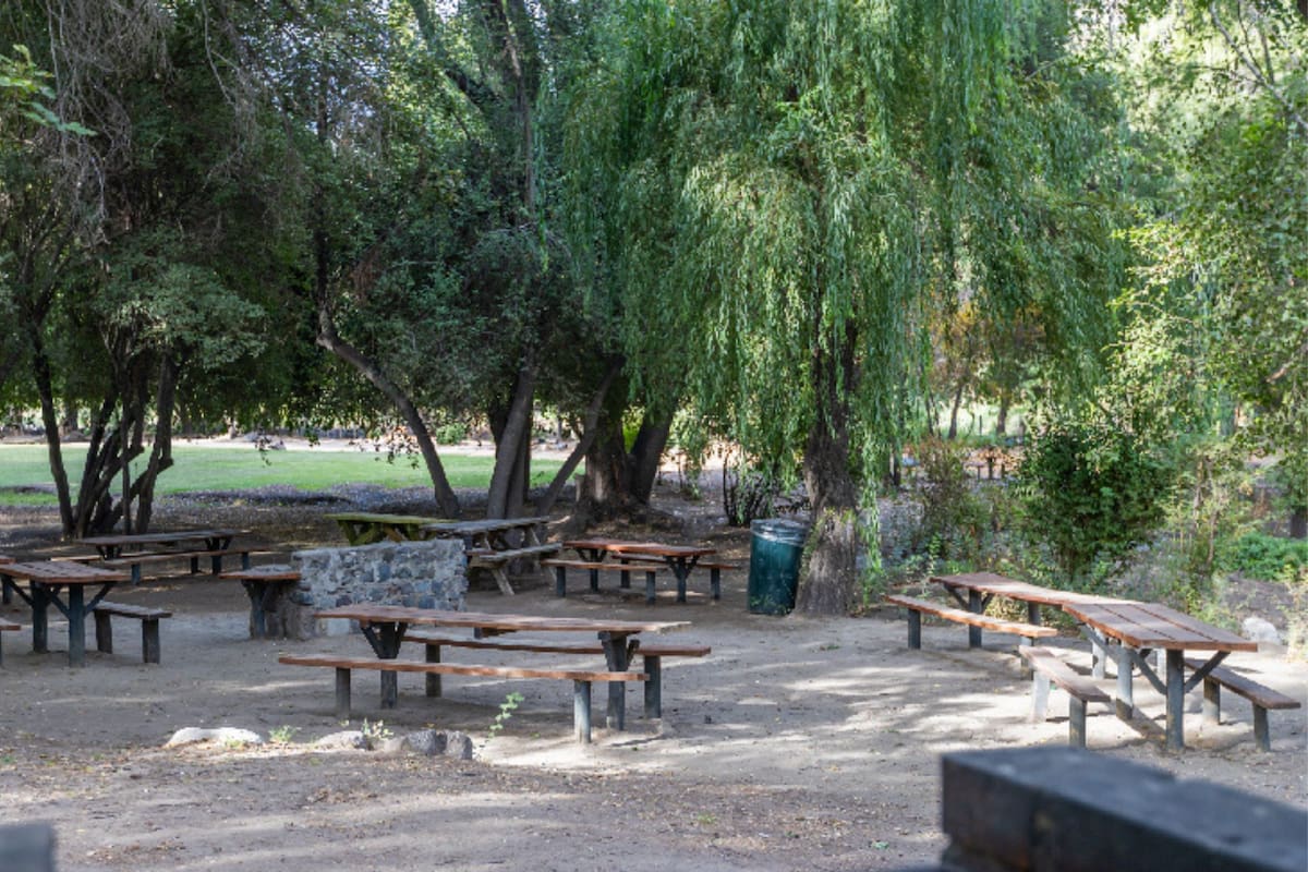 Una excelente opción para disfrutar en un entorno lleno de naturaleza.
Créditos: Parque Los Héroes.