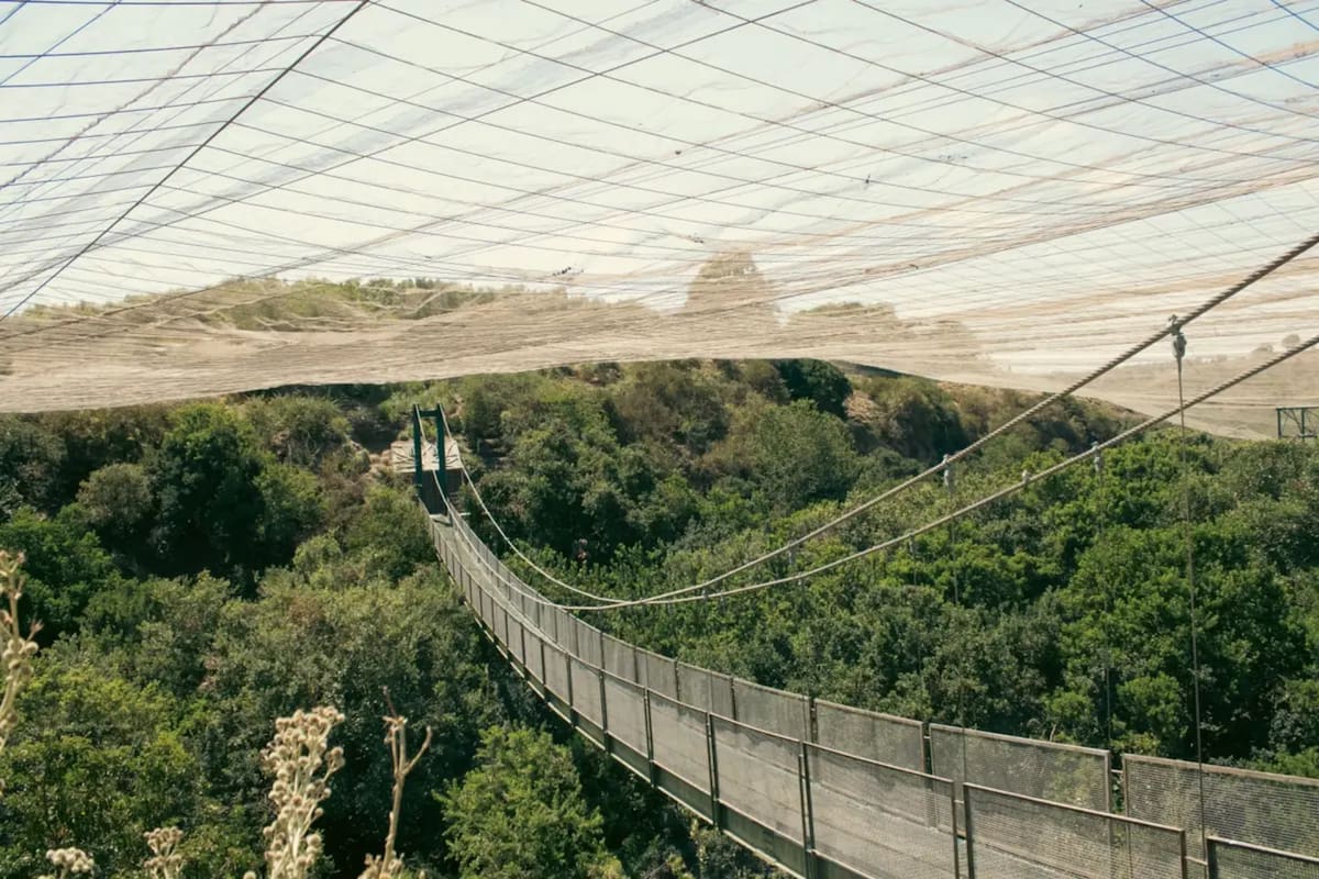 Este se ubica a 1 hora y 30 minutos del centro de Santiago. Foto: Chiletur.