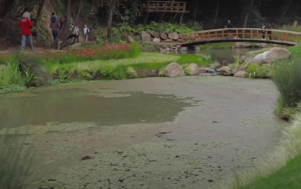 El lugar cuenta con varios puntos de descanso. Créditos: Captura YouTube