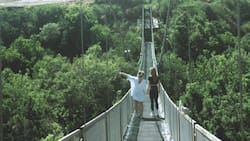Este parque se encuentra a menos de dos horas de Santiago y cuenta con el aviario más grande de Sudamérica