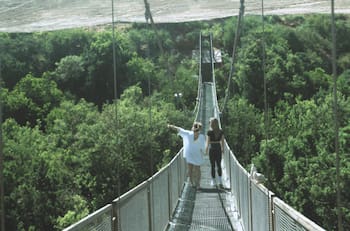 Este parque se encuentra a menos de dos horas de Santiago y cuenta con el aviario más grande de Sudamérica