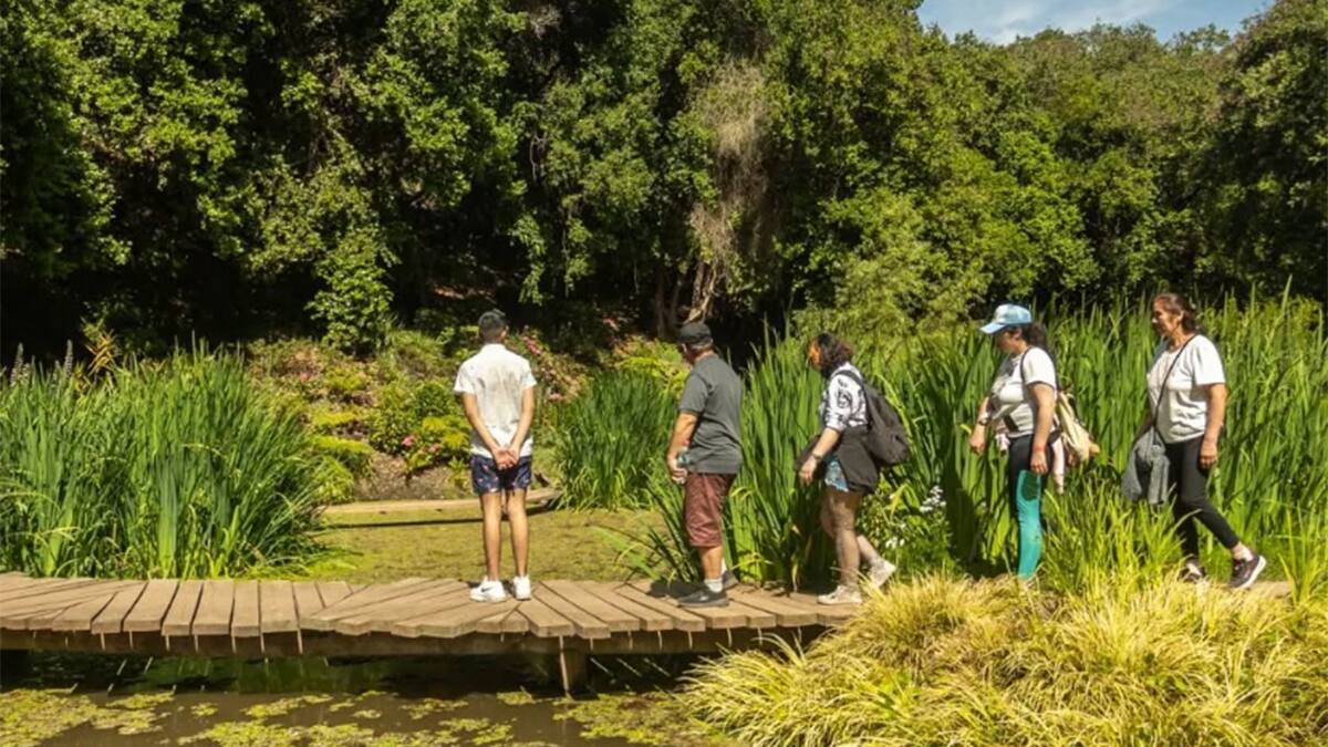 El parque con una laguna, más de 50 especies de aves, lejos del ruido y a una hora y media de Santiago