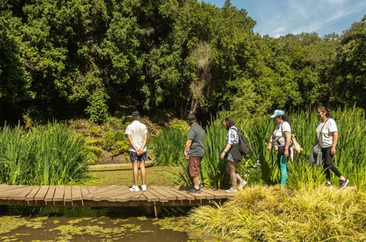El parque con una laguna, más de 50 especies de aves, lejos del ruido y a una hora y media de Santiago