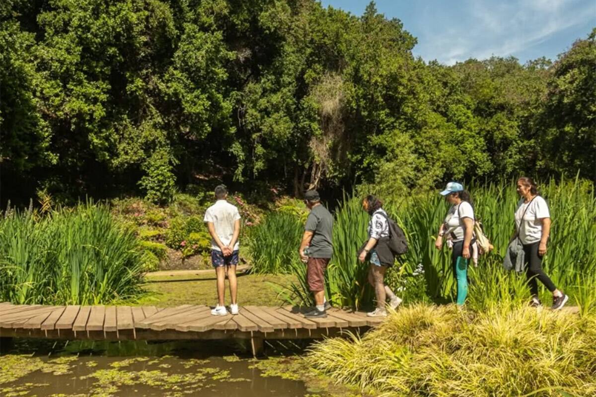 El lugar cuenta con múltiples actividades para escoger. Créditos: @parquetricao