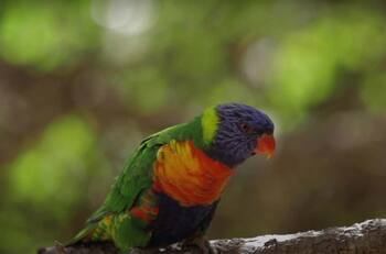 ¡Ideal para este fin de semana! Así es el Parque Tricao: A una hora y media de Santiago y con más de 50 especies de aves