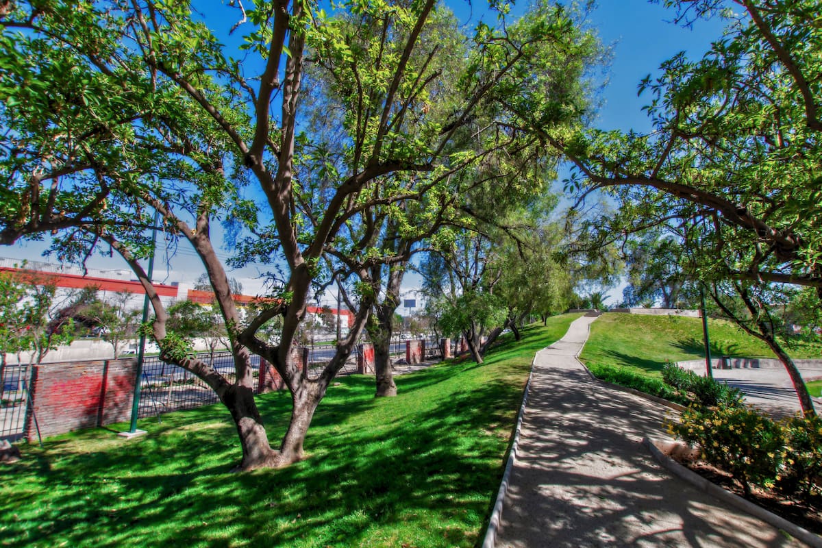 Revisa los horarios y atractivos de este tesoro natural ubicado en la zona sur de Santiago. Foto: Parquemet en X.