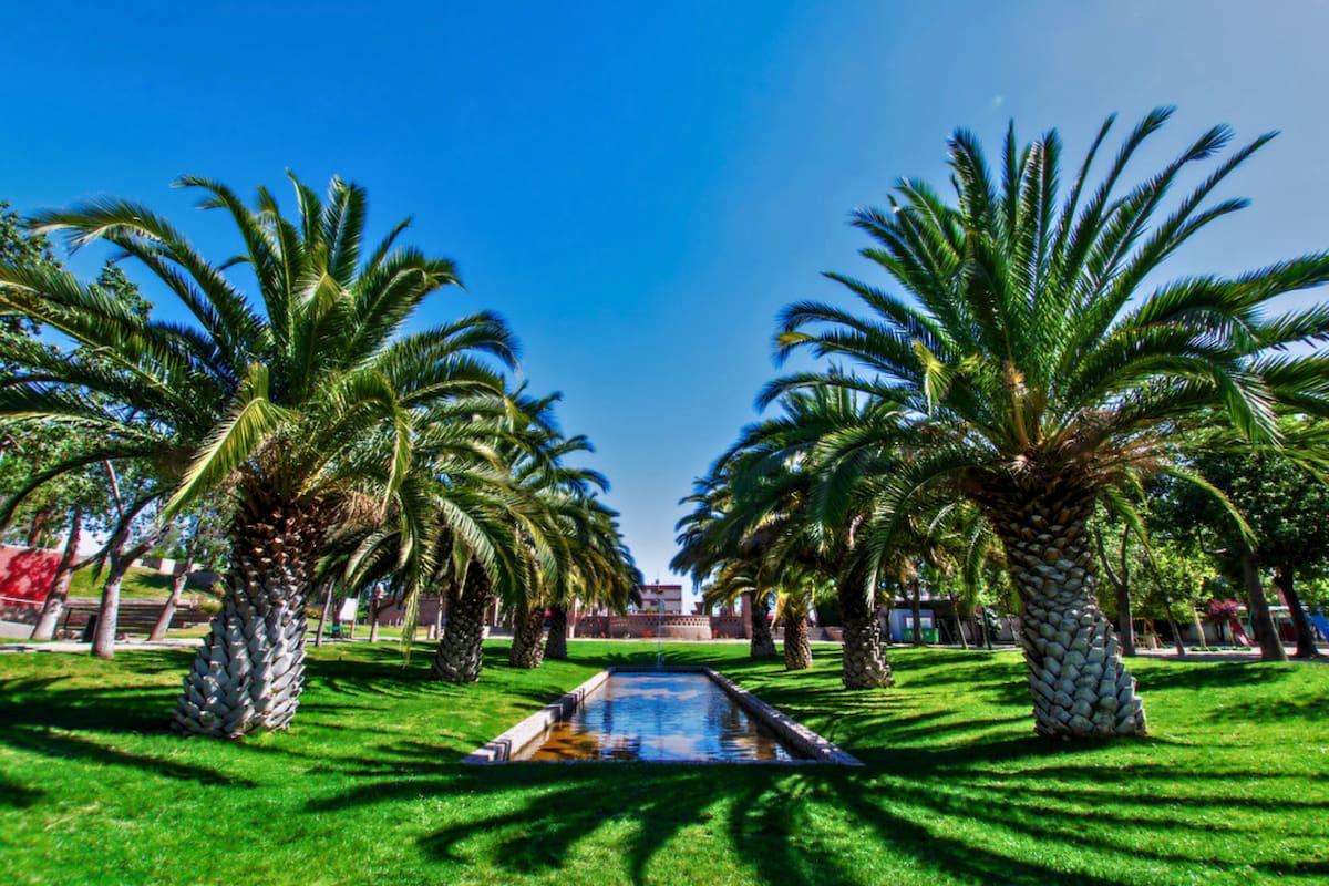 Uno de los pulmones verdes que tiene Santiago y que invita a ser recorrido en otoño. Foto: Parquemet en X.