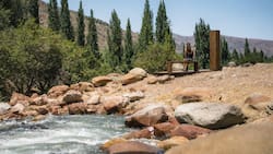 Sin escapar de la Región Metropolitana: Este santuario de la naturaleza es ideal para visitar en días de altas temperaturas