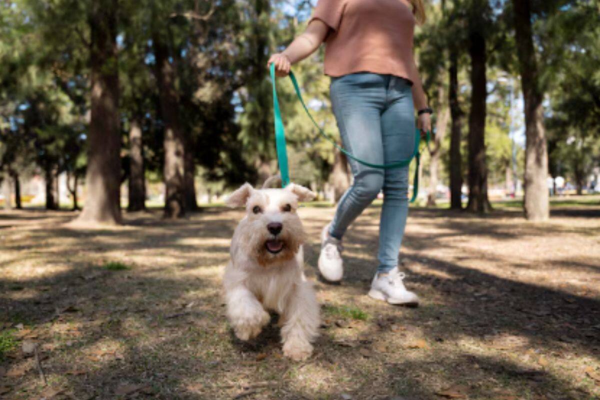 En esta oportunidad una de las novedades será el yoga con y para perros.
Créditos: Freepik.