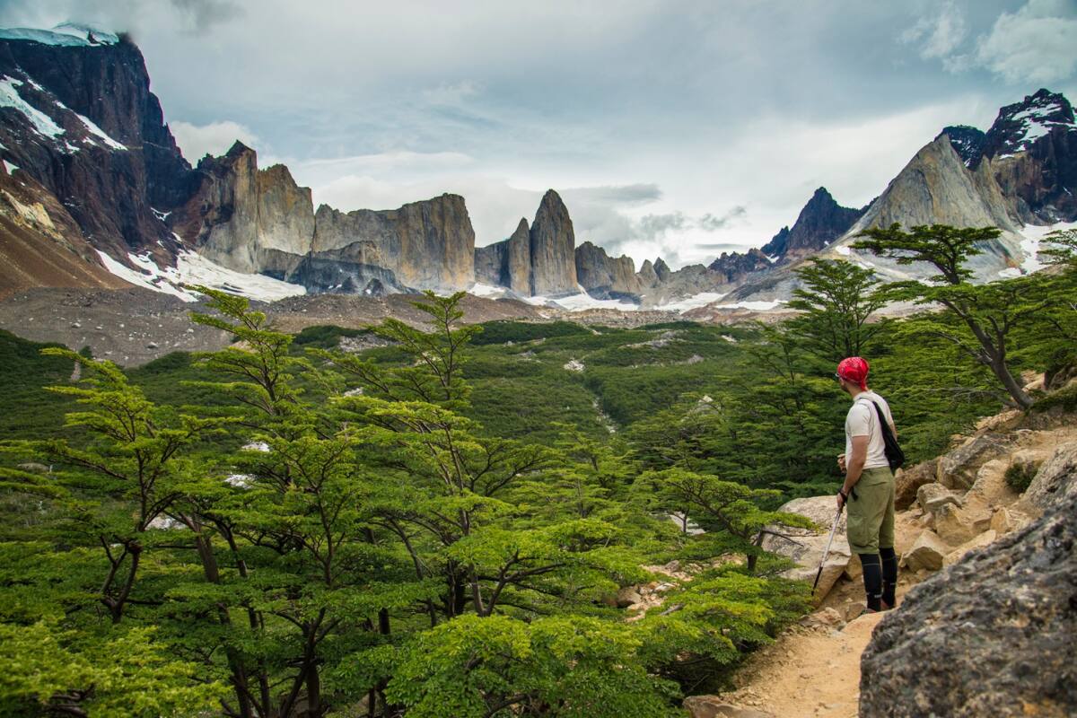 Un panorama imperdible este verano es visitar los parques nacionales de CONAF.