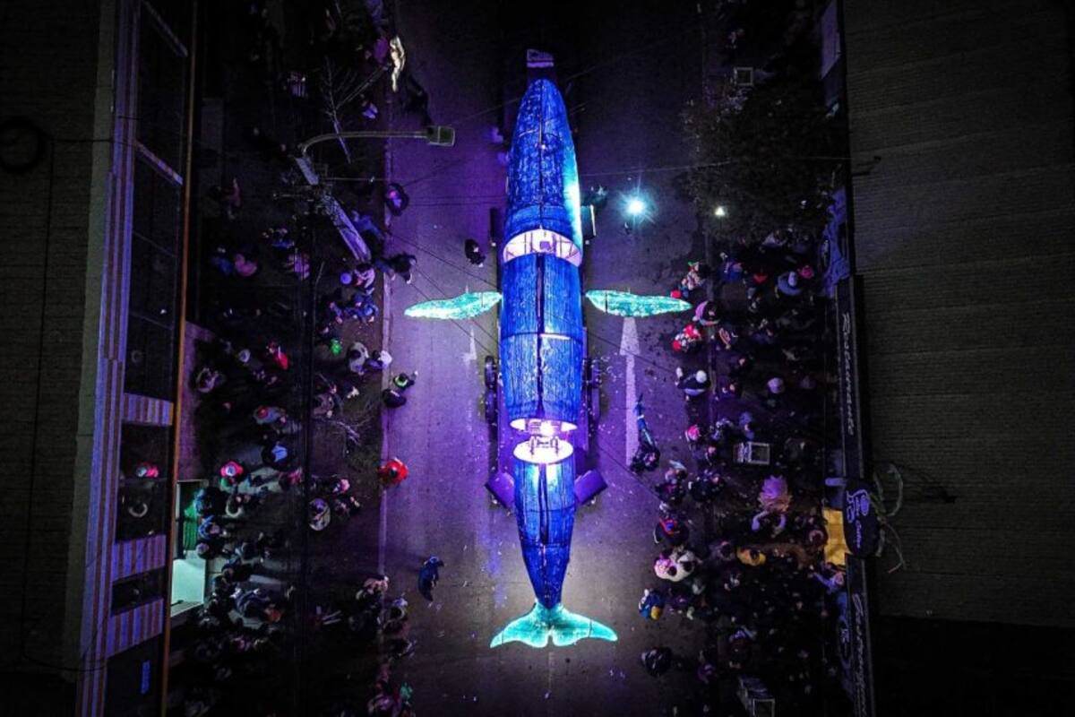 Este evento cuenta con un despliegue de figuras, luces y música, que invitan a reflexionar sobre el cuidado de nuestro ecosistema marino y el uso responsable del plástico.
Foto : Independencia.cl