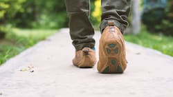 Expertos de Harvard confirman cuántos pasos hay que dar al día para evitar problemas al corazón